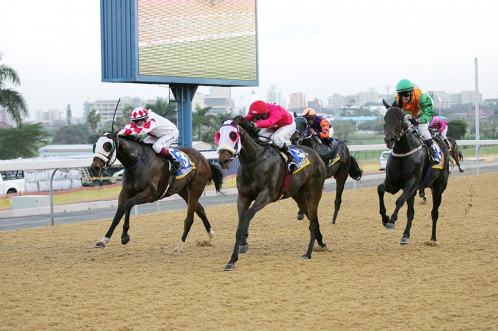 greyville polytrack