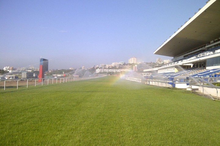 greyvilletrack