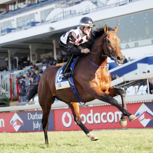 Futura at the 2014 July gallops