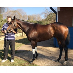 Trainer Paul Lafferty and Harry’s Son