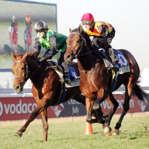 louis the king rakes chestnut gallops an