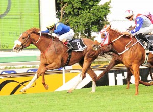 Bezanova winning the Gr2 Charity Mile at Turffontein yesterday