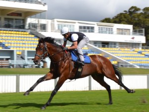 Legislate gallop-snaithracing