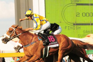 Summer Cup 2010 - Flirtation