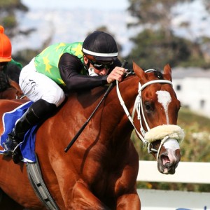 act of war takes the lead cape guineas lk an