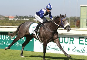 majmu delpech avonttur fillies guineas lk site