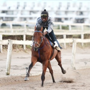 Zambezi River getting a workout (Liesl King)