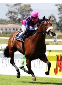 Legislate (Liesl King)