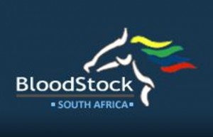 bloodstock south africa site