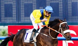 mubtaahij soumillon de kock  lk site