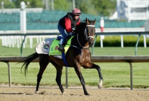 Mubtaahij (NYRA press office)