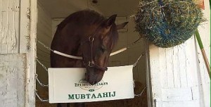 mubtaahij mdk