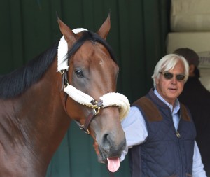 american pharoah preakness bob baffert inset