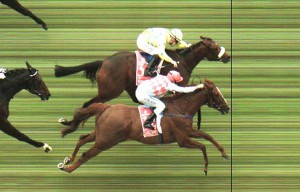 lemaire riding dunaden beats rodd riding red cadeaux to win the melbourne cup in melbourne