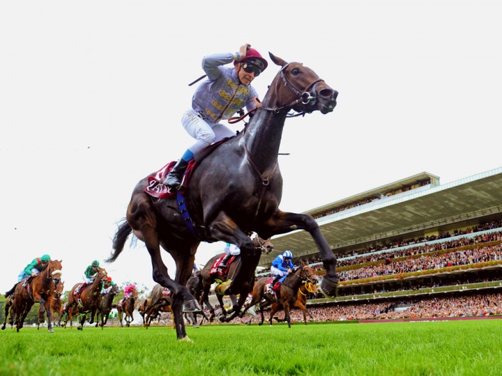 Treve (Supplied)