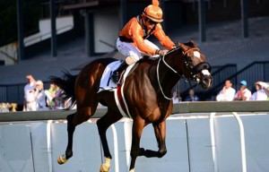 abashiri wins sa classic