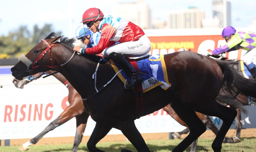 FINAL FIELD DURBAN GOLDEN HORSESHOE Gold Circle Horse Racing And Betting