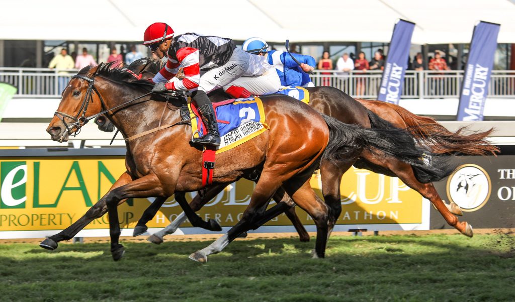 African Warrior heads for Cape Town | Gold Circle Horse Racing And Betting