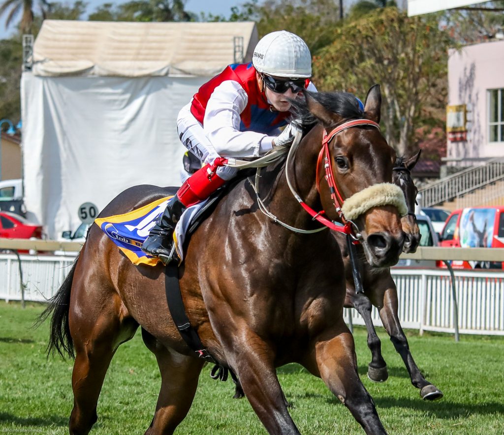 Georgina Rose can keep blooming | Gold Circle Horse Racing And Betting