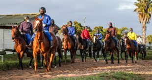 Bass-Robinson Horses (Liesl King)