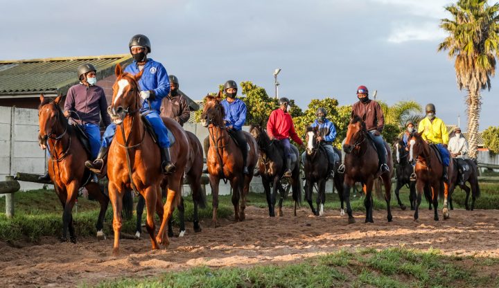 Bass-Robinson Horses (Liesl King)