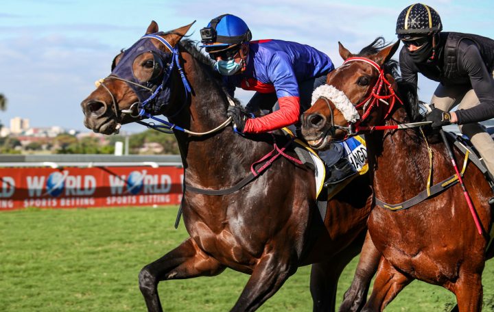 Shango Gallops (Candiese Lenfena)