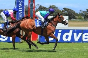 A red-letter day for Erin-Lee Watkinson as she rides her first winner on Magnetic Dime at Kenilworth. Image: Wayne Marks